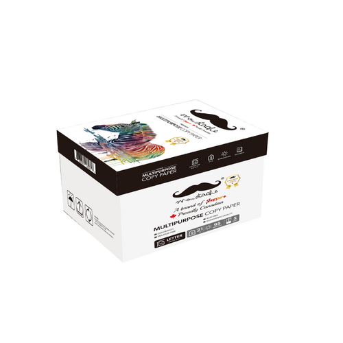 Papier Copie Premium, 8.5" x 11" 80gsm, Blanc Éclatant 95, 500 Feuilles image 3