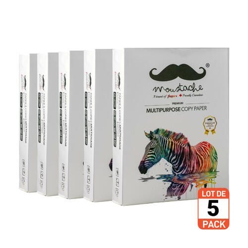 Papier Copie Premium, 8.5" x 11" 80gsm, Blanc Éclatant 95, 500 Feuilles image 4