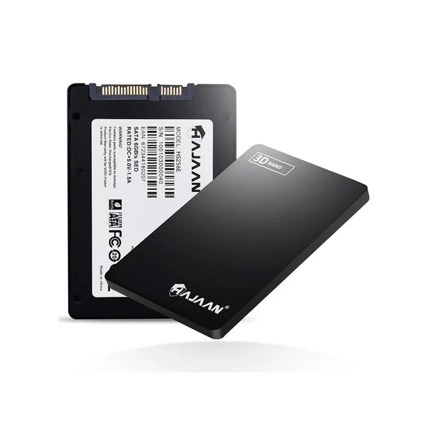 HS256E 256 Go Interne PC SSD