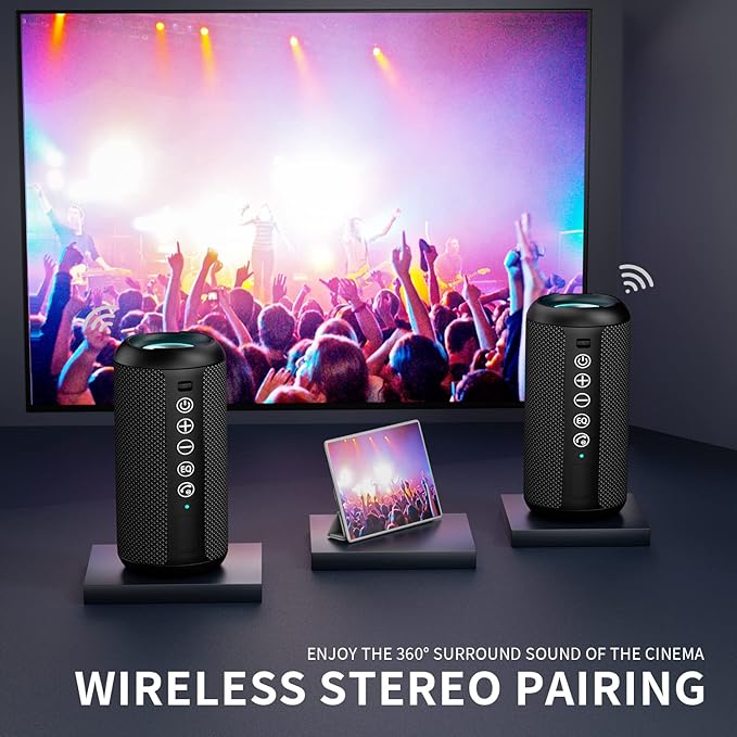 Haut-parleur Bluetooth portable