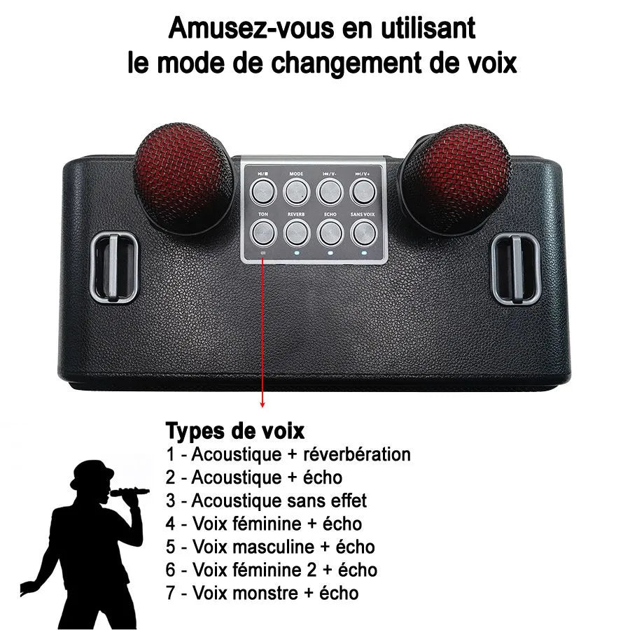 HAVIT SK956BT Haut-parleur Bluetooth portable