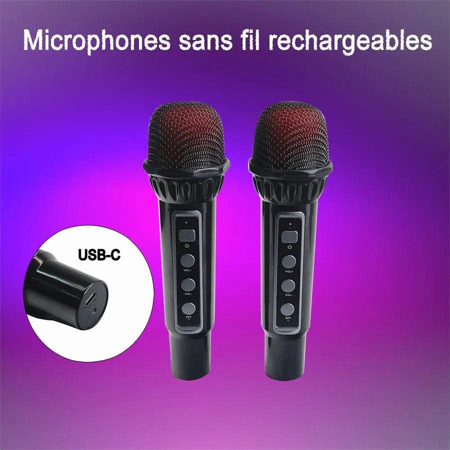 HAVIT SK956BT Haut-parleur Bluetooth portable