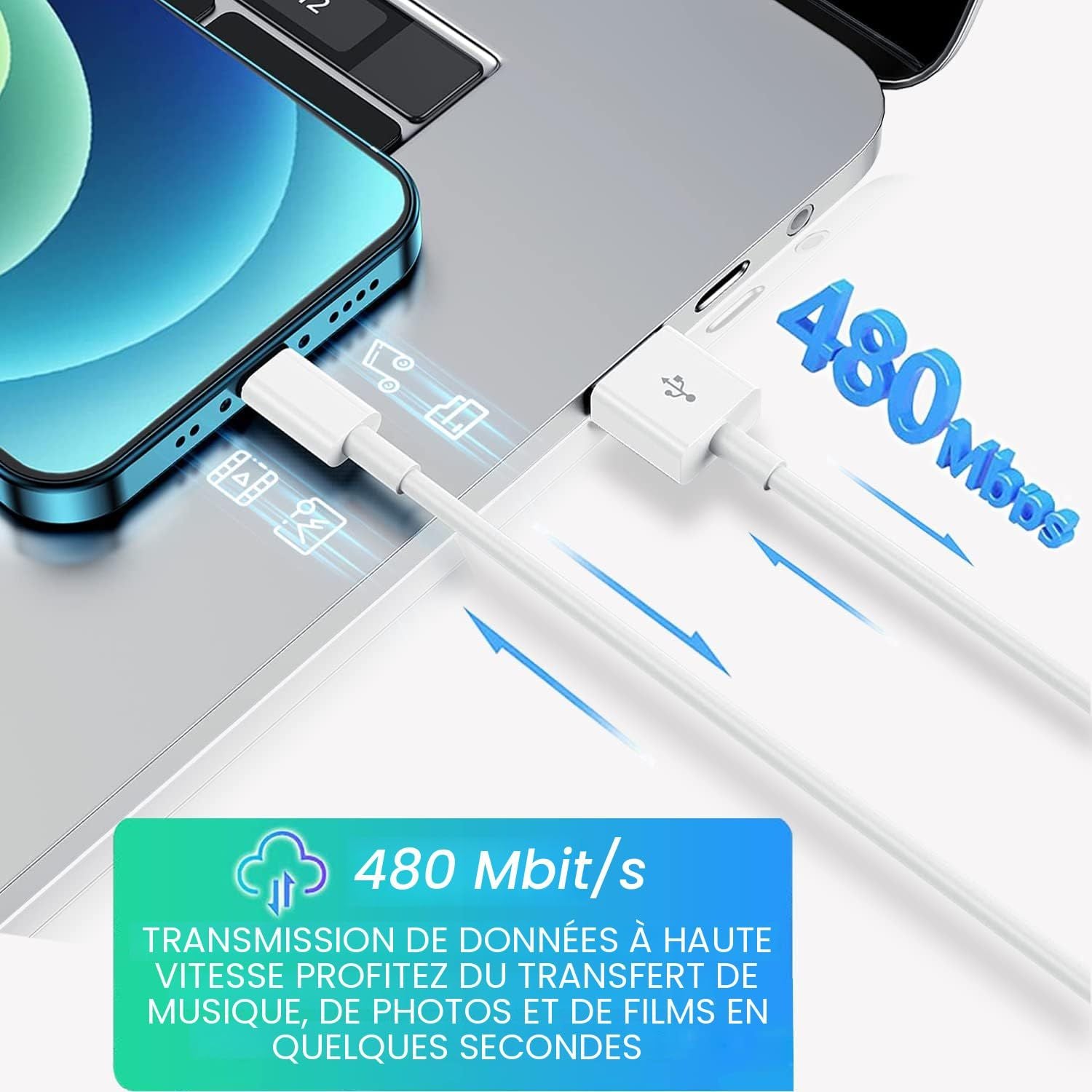 Câble de charge rapide pour iPhone 13 13 Pro 12 Pro 11 SE Max XS XR X, iPad Mini Air, iPod, AirPod